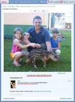 /album/galeria-de-fotos-perolas/perolas-do-orkut-13-jpg/